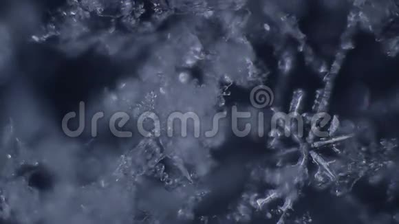 在黑暗背景的显微镜下可以看到雪晶视频的预览图