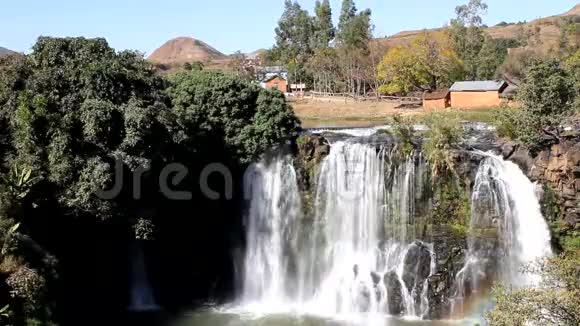 马达加斯加高地的安培菲百合瀑布视频的预览图