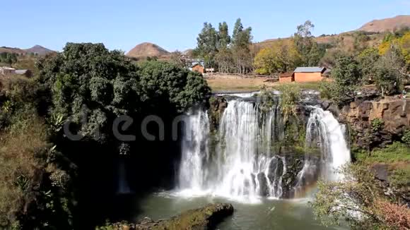 马达加斯加高地的安培菲百合瀑布视频的预览图