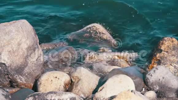 波浪在缓慢运动中与海上的岩石碰撞视频的预览图