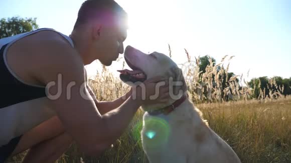年轻人在大自然中爱抚拥抱和亲吻他的拉布拉多犬玩金毛猎犬狗舔雄性视频的预览图