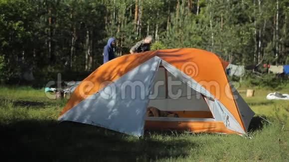 营地里的人走进帐篷准备放松在森林的背景下人们在阳光下行走视频的预览图