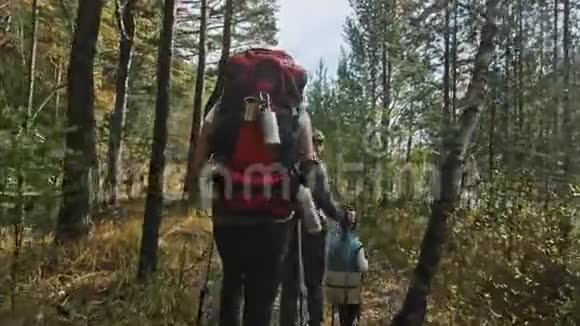 人们走在山涧附近家庭旅行人的环境由山河溪组成父母和子女视频的预览图