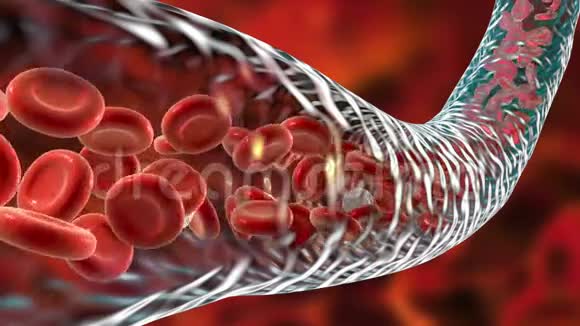 血液流动红细胞和白细胞沿着血管运动视频的预览图