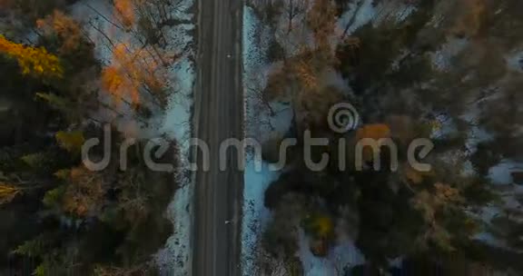 在森林日落之间用汽车俯瞰公路视频的预览图