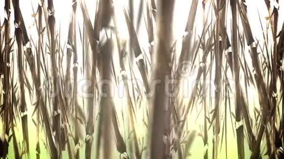 水彩画中的动画竹田视频的预览图
