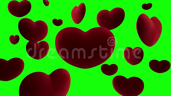 红色的天鹅绒心挂在空气中围绕着绿色背景上的一颗大心脏视频循环视频的预览图