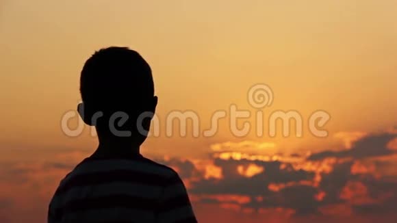 在夕阳下太阳在黎明时牵着母亲的手剪影视频的预览图