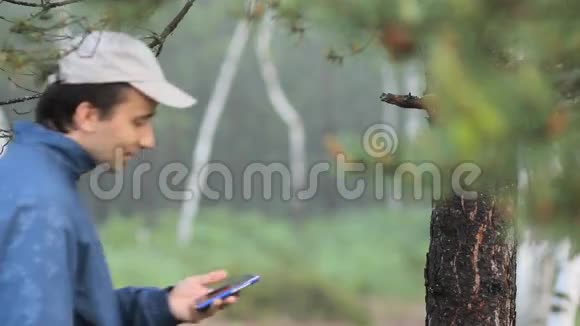 这个人在森林里的一棵树附近的电话上拍了这张照片清晨视频的预览图