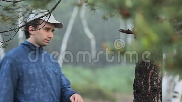 人摸着森林里一棵树附近的智能手表清晨视频的预览图