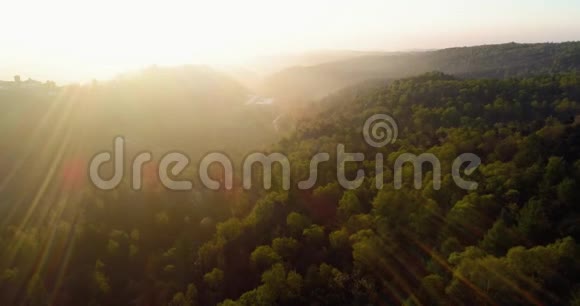 在日落或日出的夏日随着太阳耀斑在森林上空前进欧洲意大利户外绿色自然景观视频的预览图