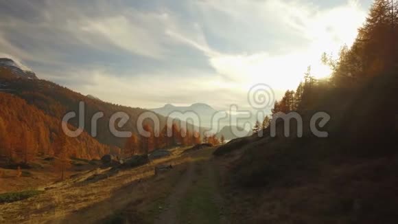 在秋天的小路上步行到树林山谷湖和雪骑在日落与太阳耀斑晴朗的秋日视频的预览图
