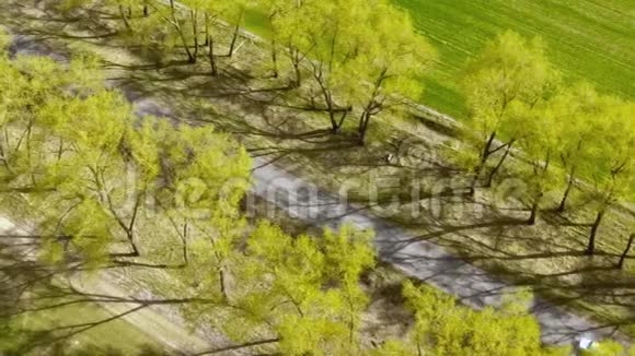 在乡下骑车四架直升机的录像视频的预览图
