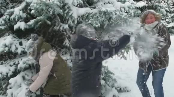 一家人在冬天的森林里休息美丽的风景和雪杉树视频的预览图