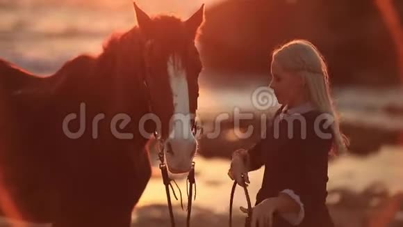 治疗马女照顾她的马视频的预览图