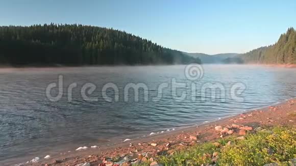 夏天的早晨在一个美丽的湖里视频的预览图