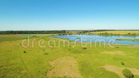 从飞行无人机看到绿色草地和蓝色湖泊视频的预览图