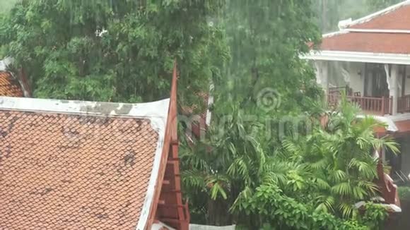 泰国强烈的热带倾盆大雨视频的预览图