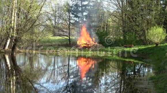 美丽的春天篝火湖沿岸视频的预览图