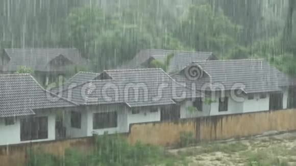 泰国强烈的热带倾盆大雨视频的预览图