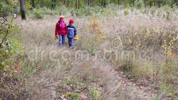 两个孩子带着黄叶在秋天的森林里散步视频的预览图