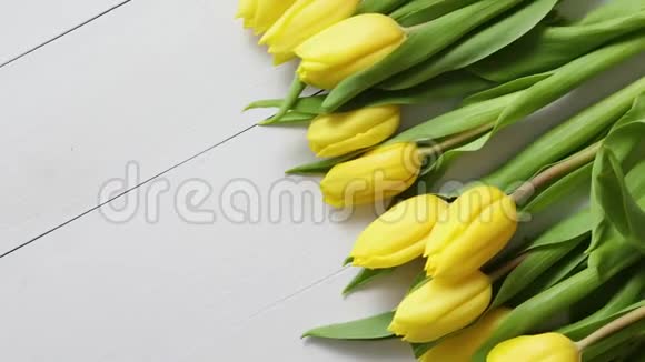 白色木桌上一排新的黄色郁金香视频的预览图