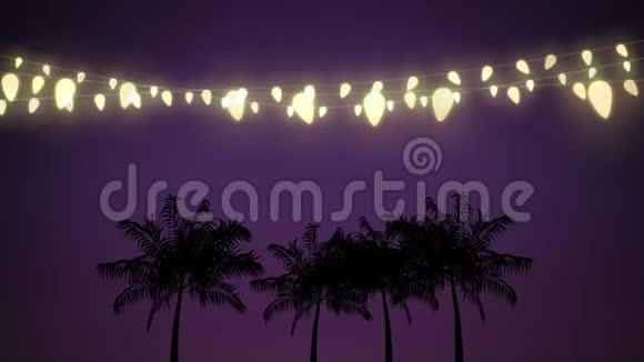 闪烁着一串串棕榈树的仙灯视频的预览图