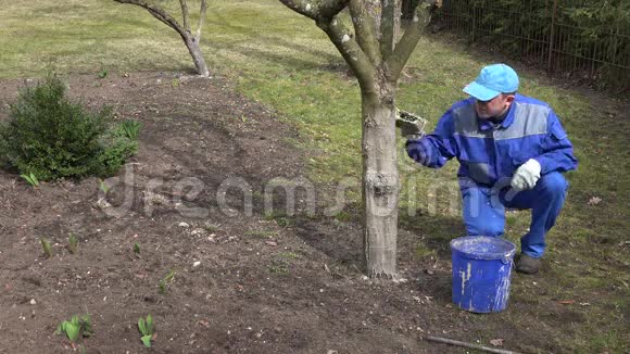 园林专家在春天给树木粉刷视频的预览图
