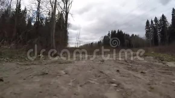 浑林路肮脏的森林道路视频的预览图