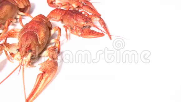 煮熟的红小龙虾视频的预览图