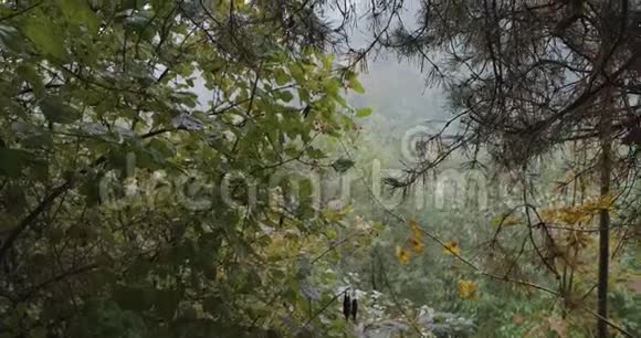 乌克兰Transcarpatia山区秋冬季故事视频的预览图
