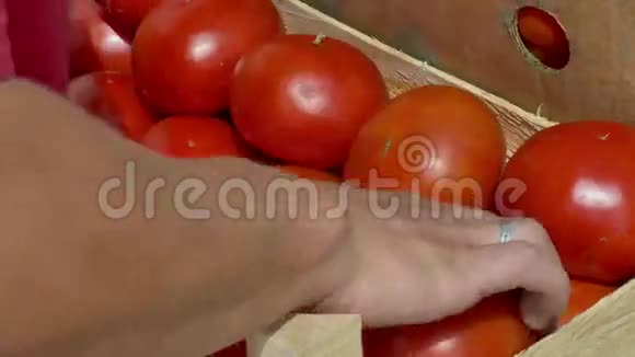 新鲜有机西红柿放在箱子里视频的预览图