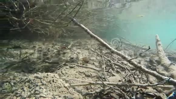水下湖岸视频的预览图