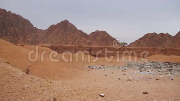 埃及沙漠中的垃圾视频的预览图