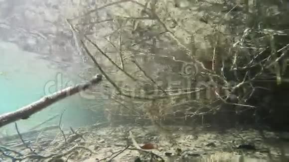 水下湖岸视频的预览图
