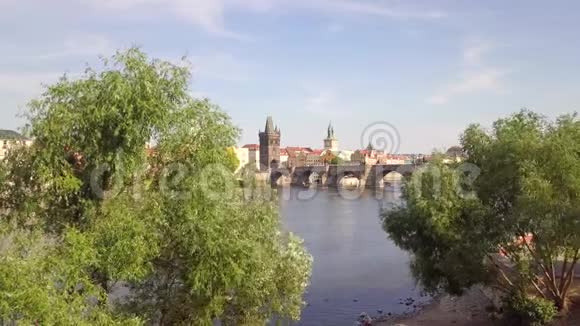 伏尔塔瓦河和标志性的查尔斯桥空中鸟儿在镜头前飞翔视频的预览图