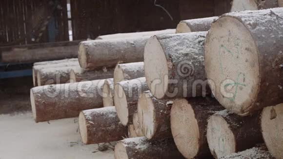 锯木厂用数字标记的木材原木堆落木屑视频的预览图