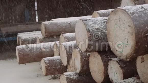 锯木厂用数字标记的木屑落在原木堆上视频的预览图