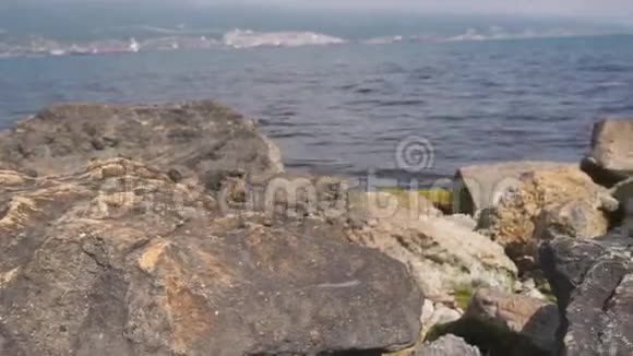 有巨石和岩石的黑海海岸视频的预览图