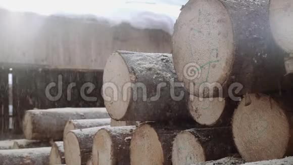 锯木机上有数字标记的木屑落在原木堆上视频的预览图