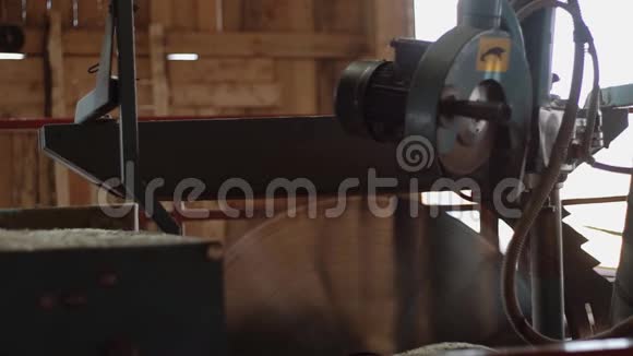 锯木厂木板上的旋转圆片切割木材视频的预览图