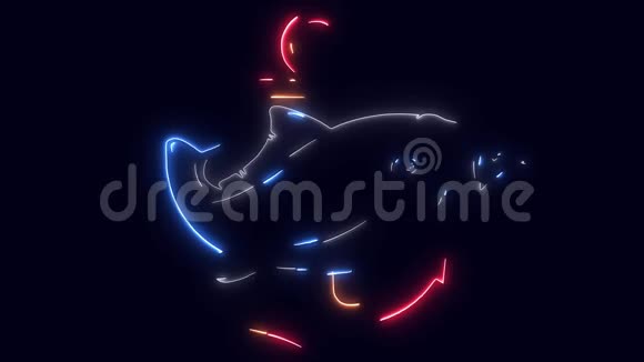 锚和鱼激光动画视频的预览图