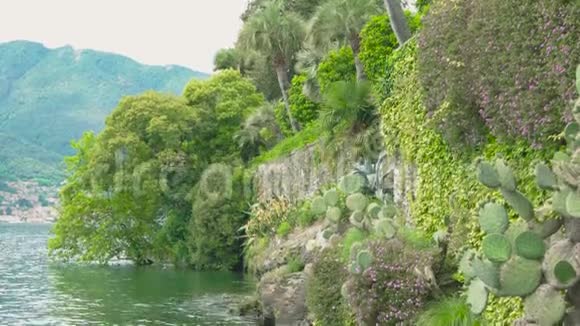 玛吉奥尔湖绿色植物视频的预览图