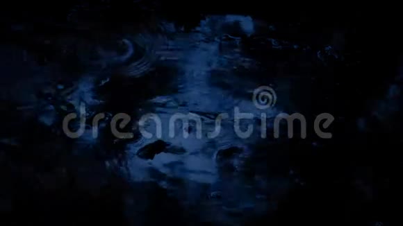 黑暗中森林池塘上的雨滴视频的预览图