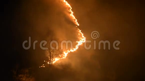 山中的夜火缓慢地燃烧着山峡岩石上的草木视频的预览图
