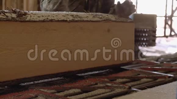 木工操作带木原木的工业锯床视频的预览图