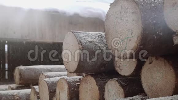 锯木厂的锯木堆上有数字标记的木屑视频的预览图