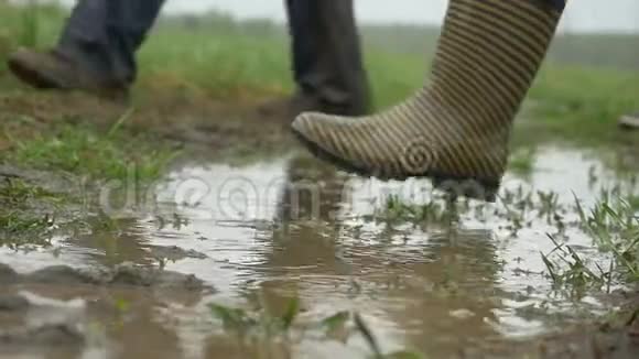 穿胶靴的人在地上双脚穿着橡胶靴雨坑穿着橡胶靴的人穿过水坑视频的预览图