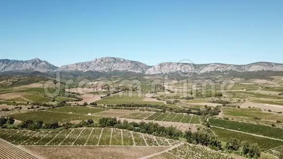 法国葡萄园和地中海山的空中景观视频的预览图