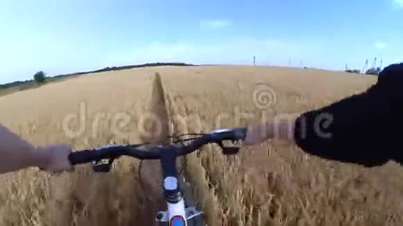 一个骑自行车的人骑着自行车穿过麦田视频的预览图
